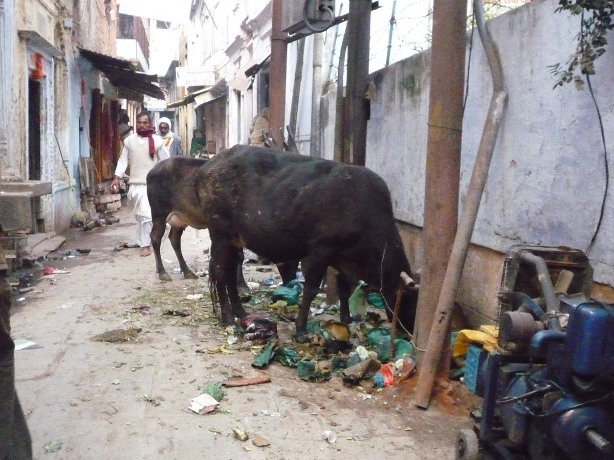 Old city of Varanasi18